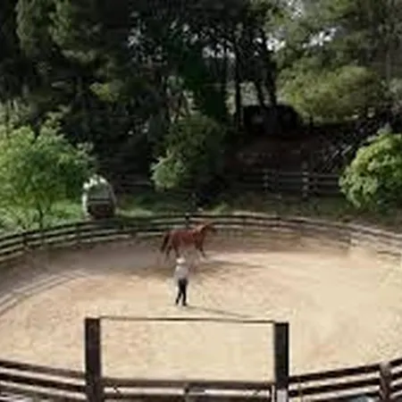 فيلة En Provence Piscine Au Calme Entre Arles Nimes Avignon