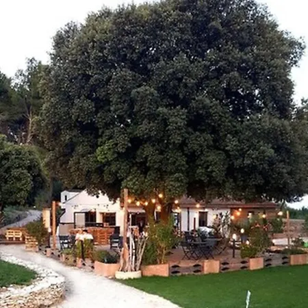En Provence Piscine Au Calme Entre Arles Nimes Avignon Villa *